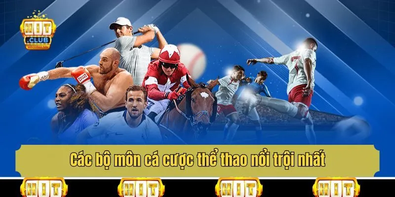 Các bộ môn cá cược thể thao nổi trội nhất