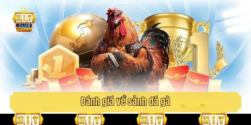 Đánh giá về sảnh đá gà